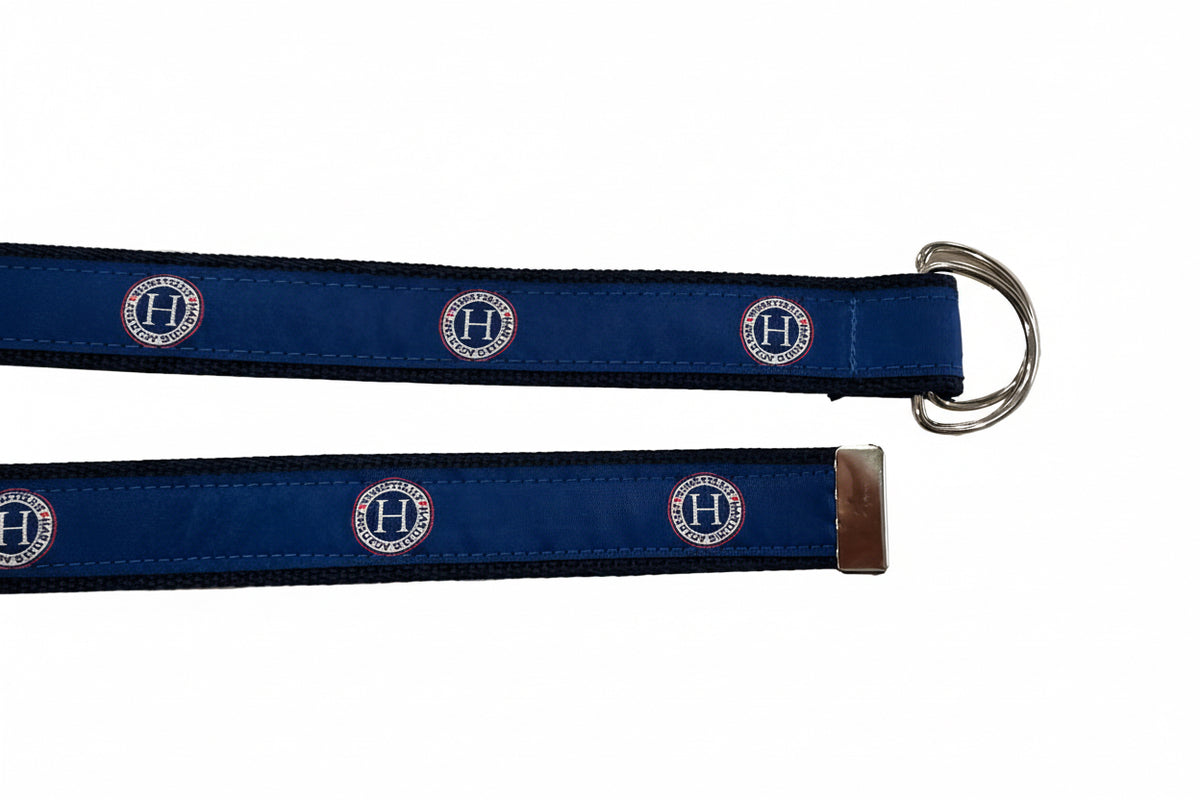 Blue belt with silver buckle on a light gray background